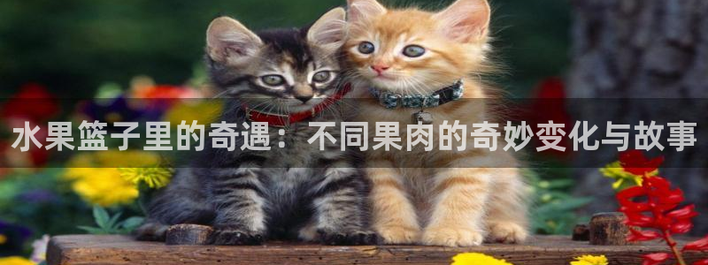 酷漫屋app下载安装